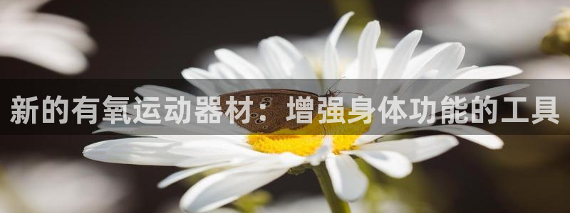 凯捷体育娱乐网站