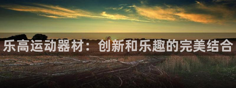 凯捷体育官方客服电话：乐高运动器材：创新和乐趣的完美结合