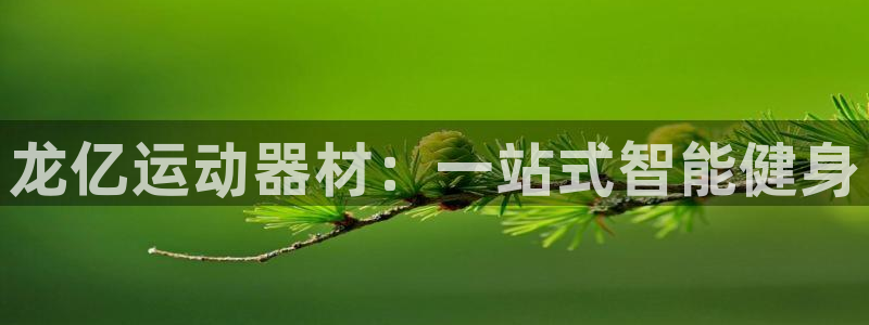 凯捷体育集团简介