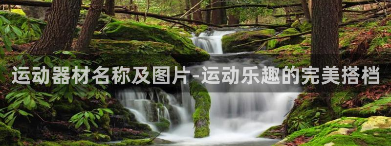 凯捷体育软件：运动器材名称及图片-运动乐趣的完美搭档