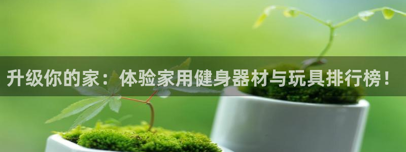 凯捷体育招商：升级你的家：体验家用健身器材与玩具排行榜！