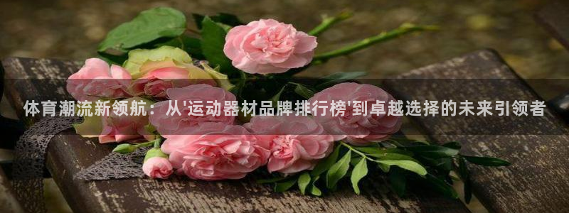 凯捷体育集团logo