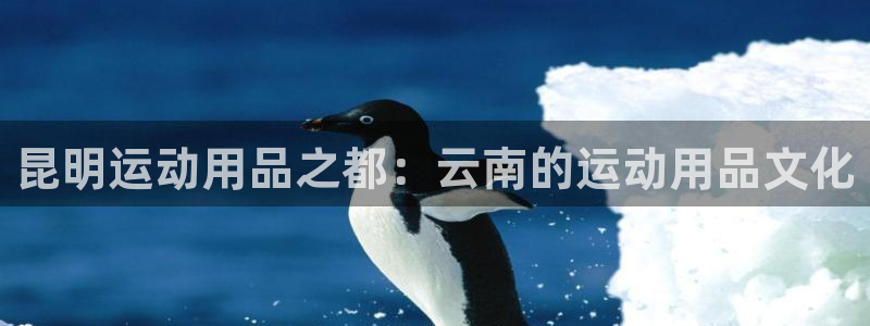 凯捷体育招商电话地址是多少