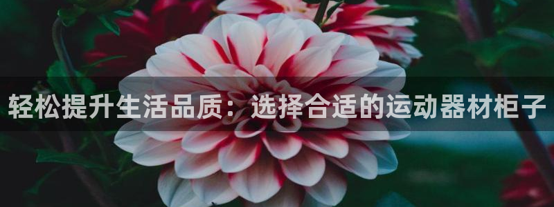 凯捷体育平台注册：轻松提升生活品质：选择合适的运动器