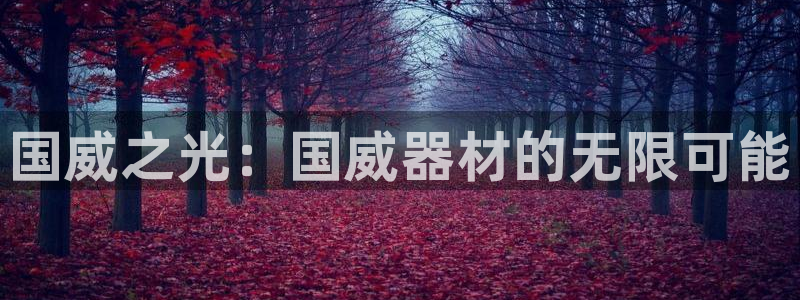 凯捷体育招商电话号码：国威之光：国威器材的无限可能