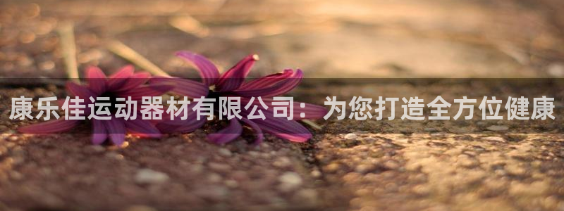 凯捷体育科技：康乐佳运动器材有限公司：为您打造全方位健康