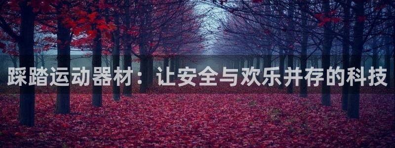 注册凯捷体育：踩踏运动器材：让安全与欢乐并存的科技