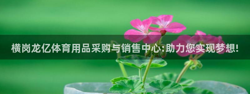 凯捷体育娱乐：横岗龙亿体育用品采购与销售中心:助力您实现梦想