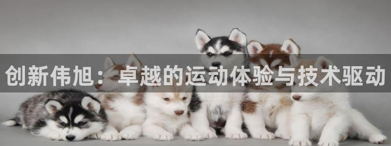 凯捷体育软件