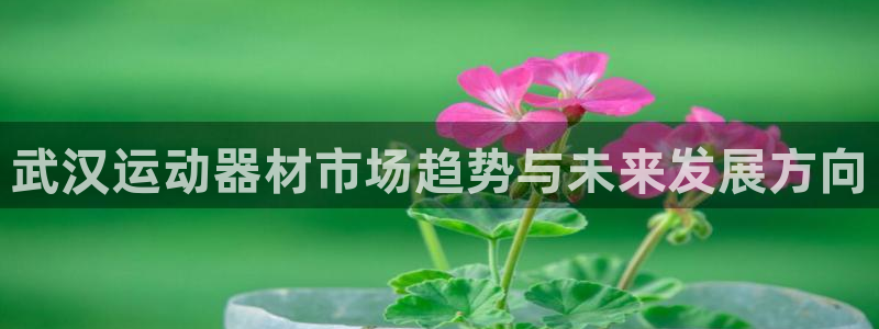 海南凯捷体育：武汉运动器材市场趋势与未来发展方向
