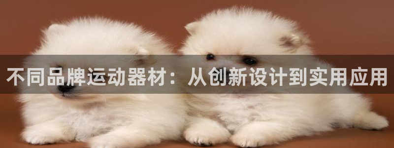 凯捷体育集团官网网址：不同品牌运动器材：从创新设计到