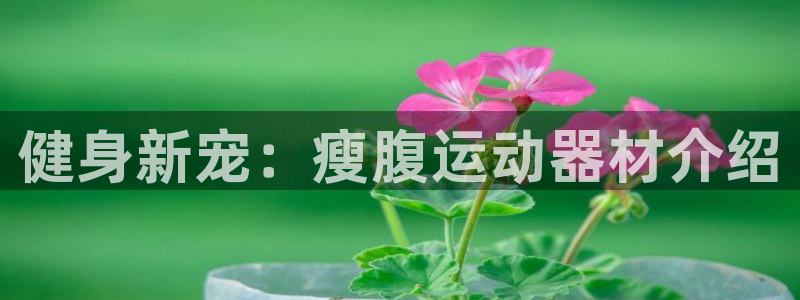 海南凯捷体育：健身新宠：瘦腹运动器材介绍