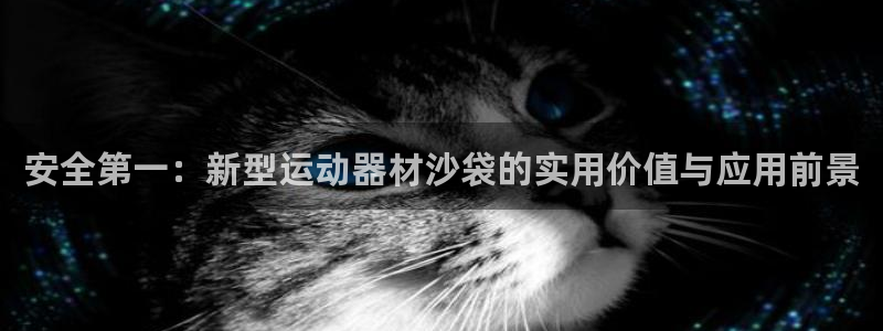 凯捷体育五金厂：安全第一：新型运动器材沙袋的实用价值与应用前