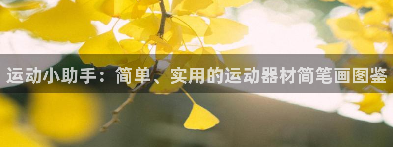意昂平台体育