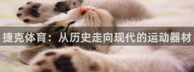 凯捷体育招商电话号码是多少号:捷克体育:从历史走向现代的运动