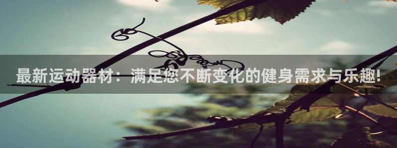 凯捷体育娱乐首页网站大全
