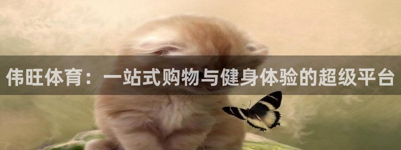 凯捷体育代理:伟旺体育:一站式购物与健身体验的超级平台